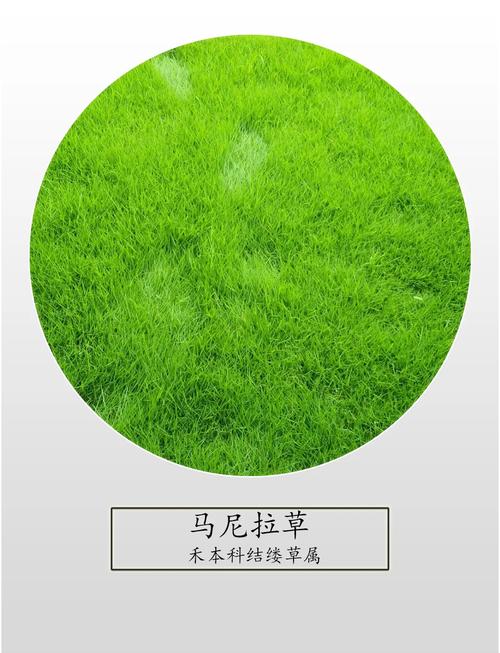 综合价格参考表
