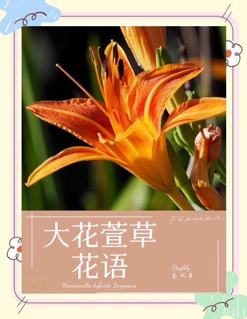 萱草代表什么?萱草花语与象征意义全解析 四、庭院与生活中的萱草应用