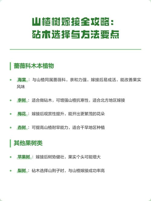 三、芽接与枝接的标准操作流程