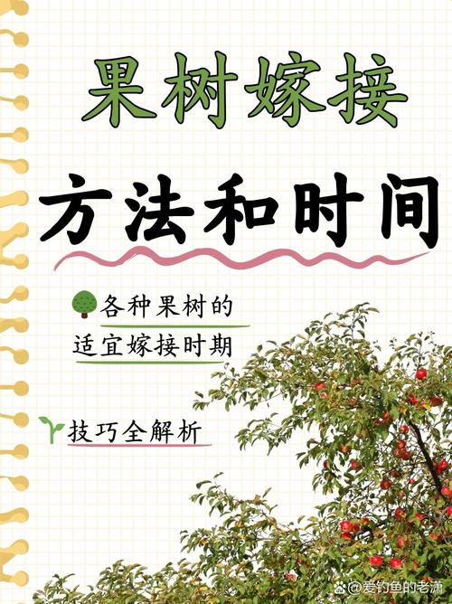四、嫁接后管理决定最终成活率