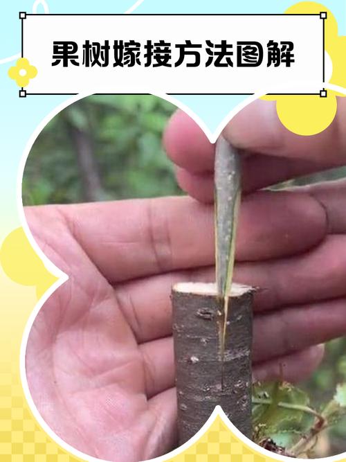 五、常见失败原因与补救措施