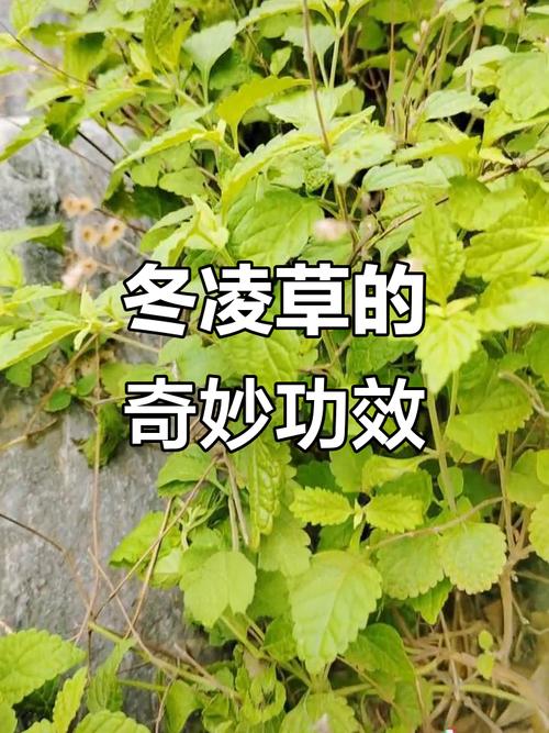 常见错误纠正