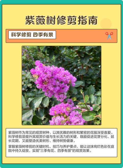 施肥