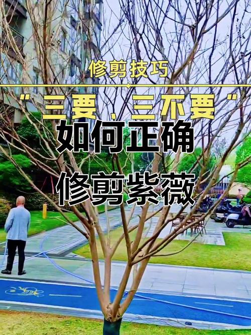 越冬越夏