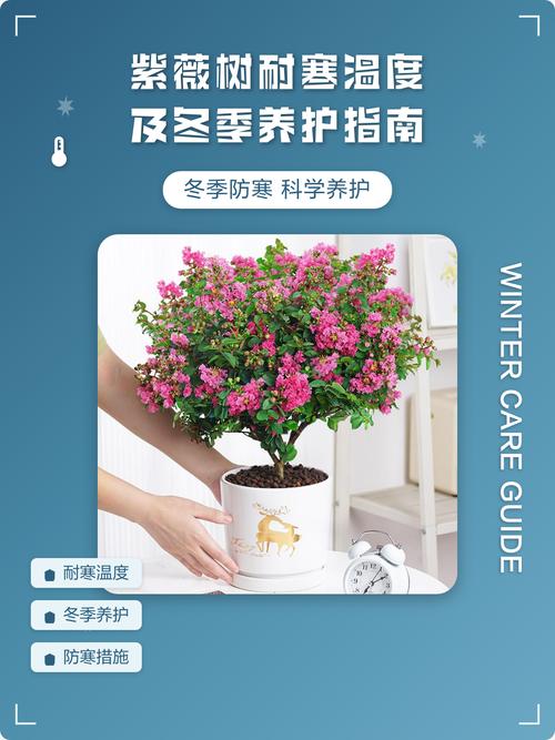 修剪