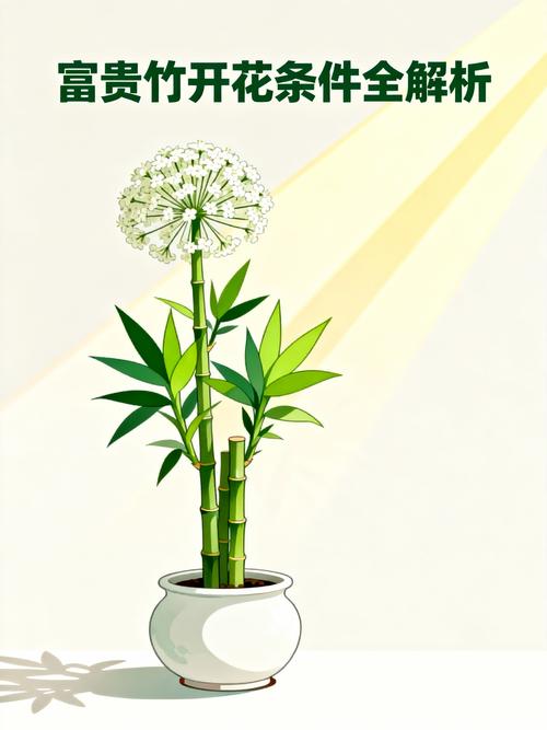 五、越冬越夏：温度是决定能否开花的关键限制因素