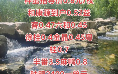 鸭苗价格多少钱一只？2025年最新报价参考