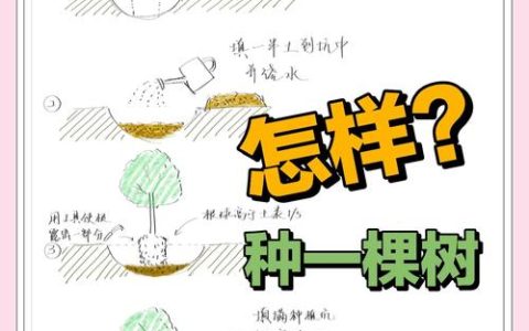 树苗怎么获得？园艺新手必备的三种途径与技巧