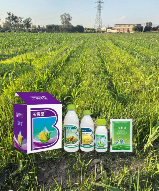 玉米苗后除草剂有哪些？安全高效的选择与使用指南
