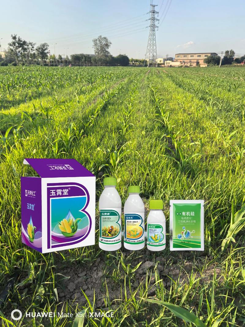玉米苗后除草剂有哪些？安全高效的选择与使用指南