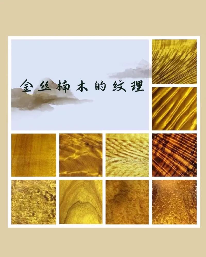 五、现代园艺视角：金丝楠木的种植与养护