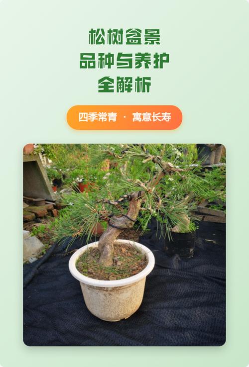 南北种植差异化建议