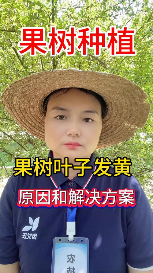 果树黄叶子是怎么回事?五步排查法帮你精准找到病根,对症下药 五步排查步骤(请按顺序执行)