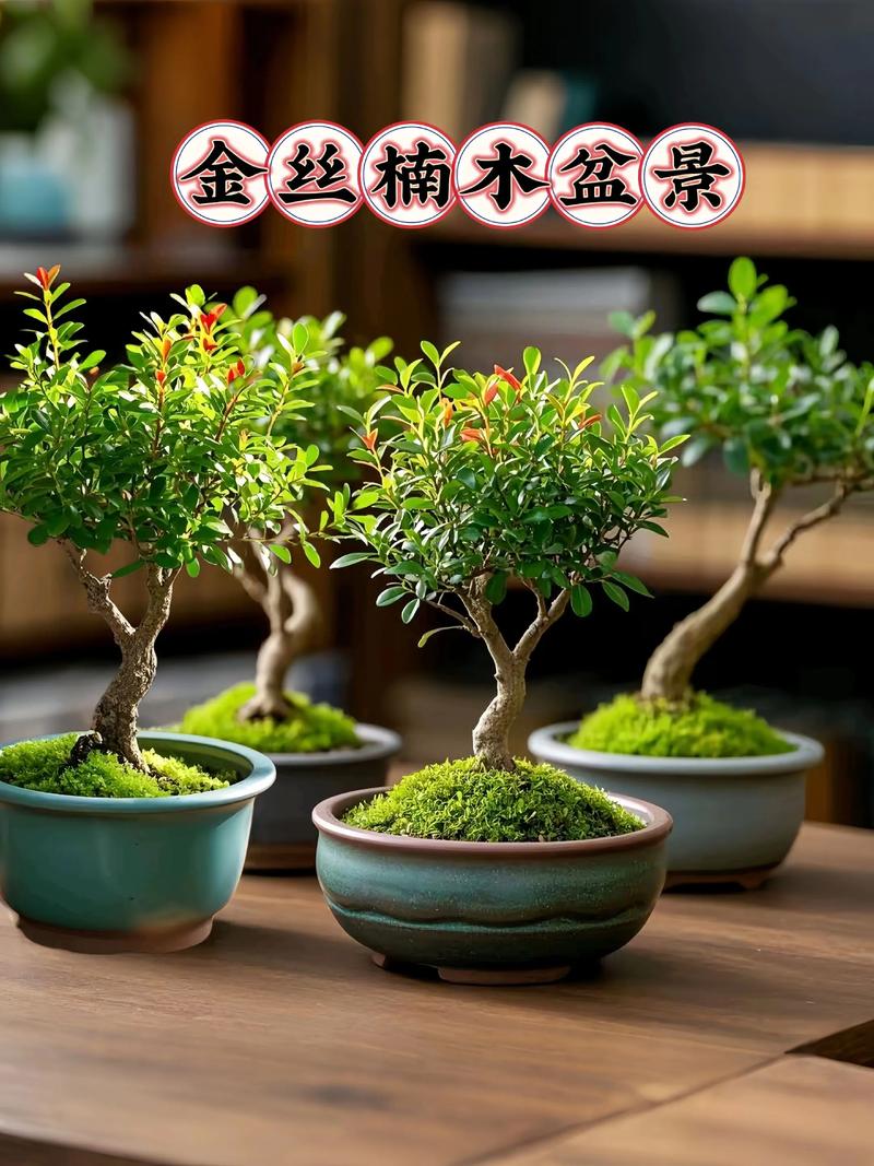 四、常见病虫害防治