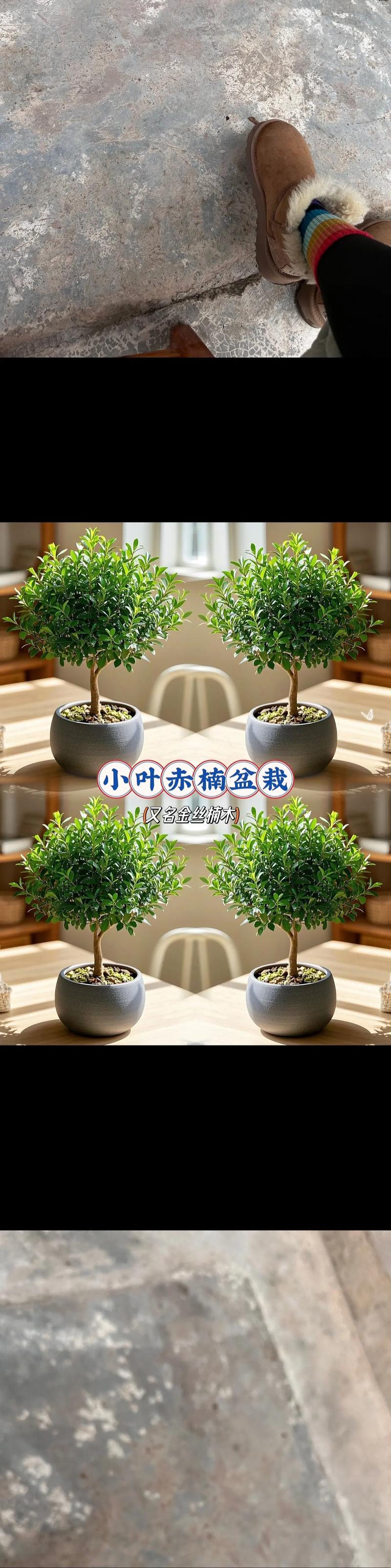 总结与建议