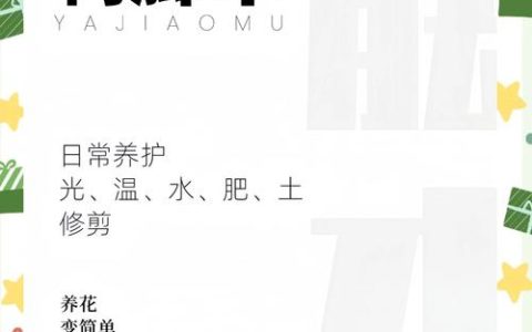 鸭脚木叶子变黄了怎么办？从浇水到光照的全面拯救指南