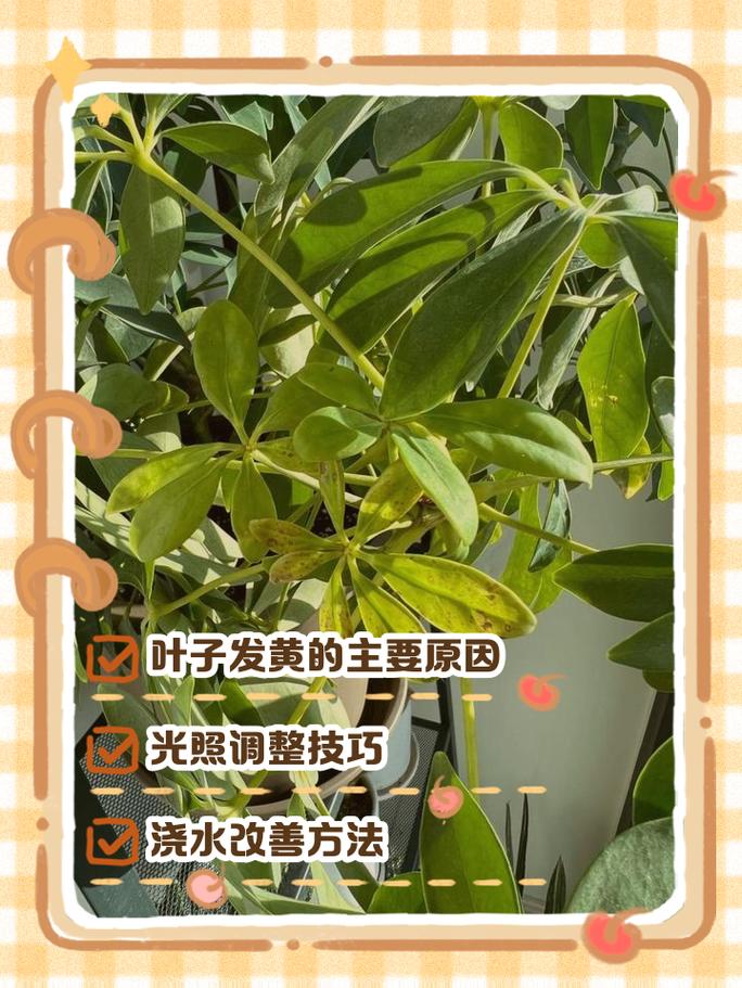 五、温度和通风也要留意