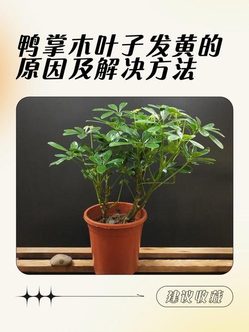 日常防护小贴士