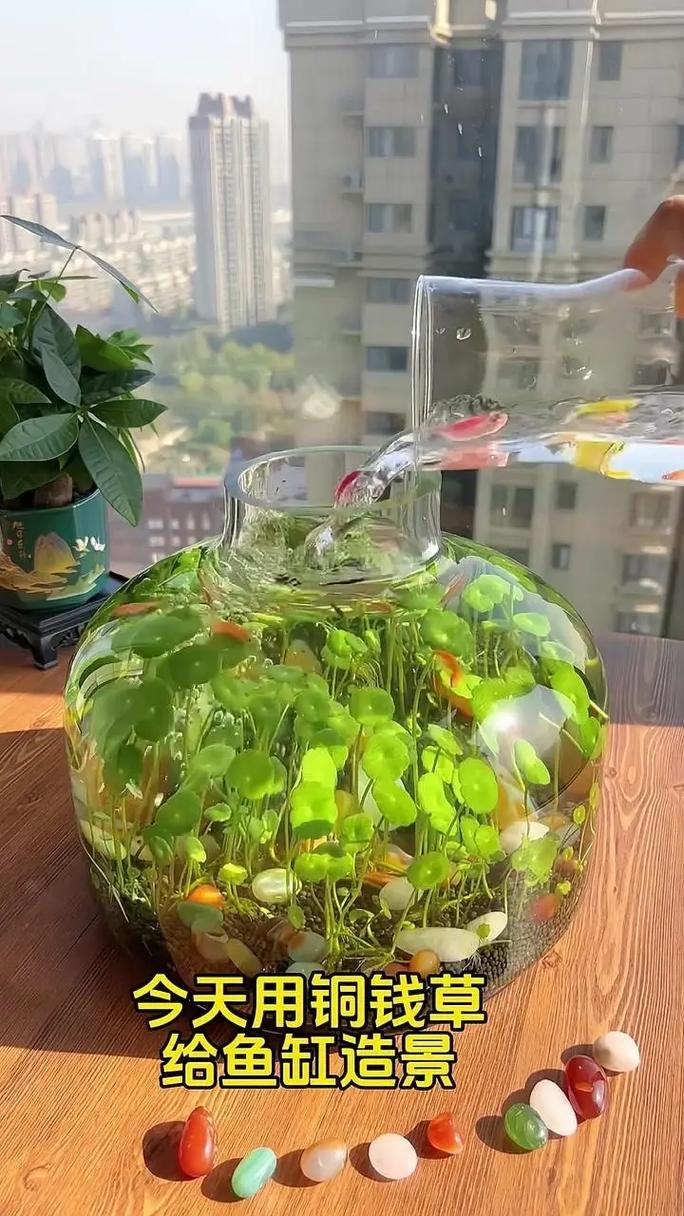 常见错误与纠正