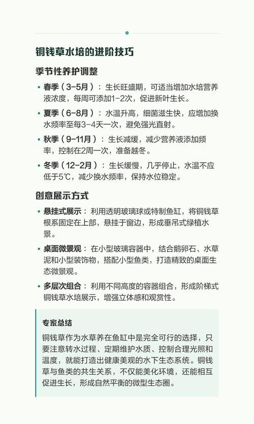 总结