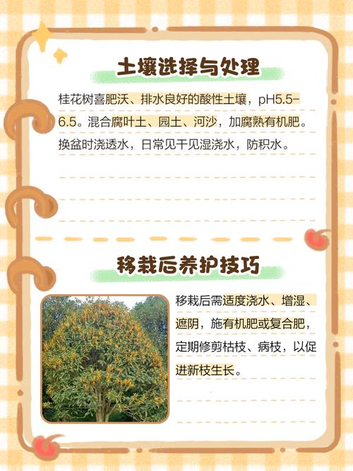 三、栽前处理