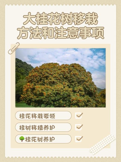 四、栽植深度