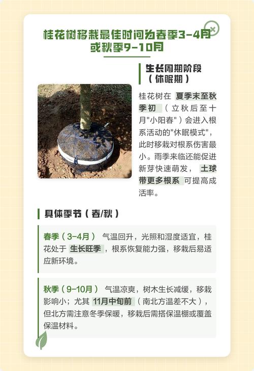 六、缓苗管理