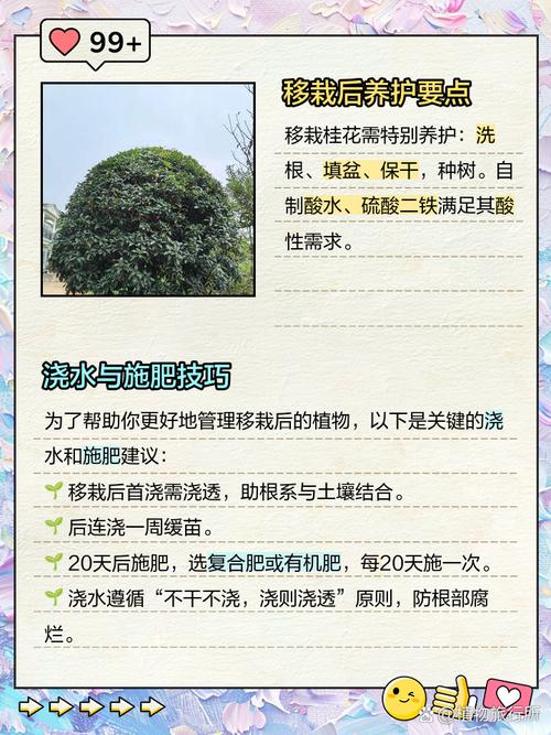 七、成活注意事项