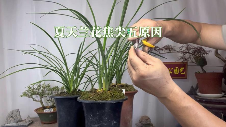 二、分情况急救：对症下药