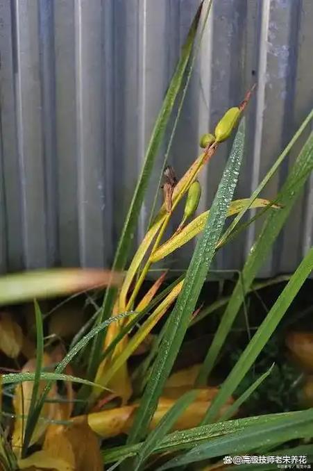 总结