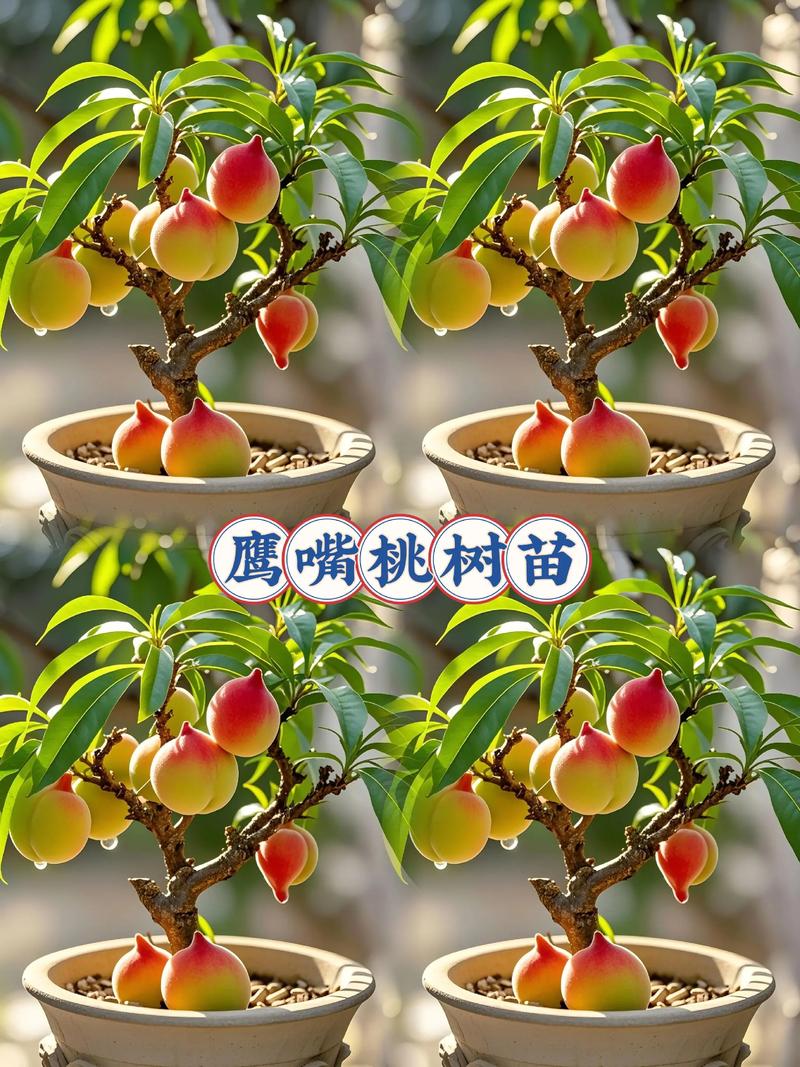 两年的桃树苗什么时候可以结果?专家详解结果时间与促果技巧 不开花不结果常见原因与解决(结构化列表)