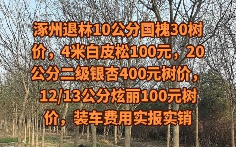 60年的槐树多少钱一棵？2026年市场价格与影响因素全解析