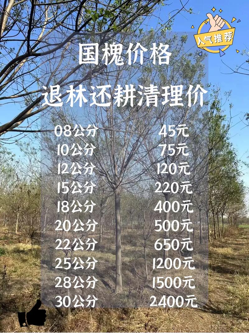 60年的槐树多少钱一棵?2026年市场价格与影响因素全解析 价格影响因素汇总表