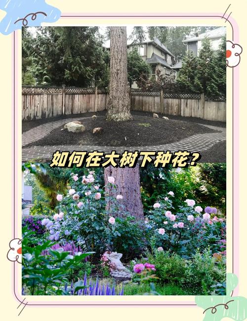 屋后空地种什么树?实用指南与种植全流程 三、栽前处理