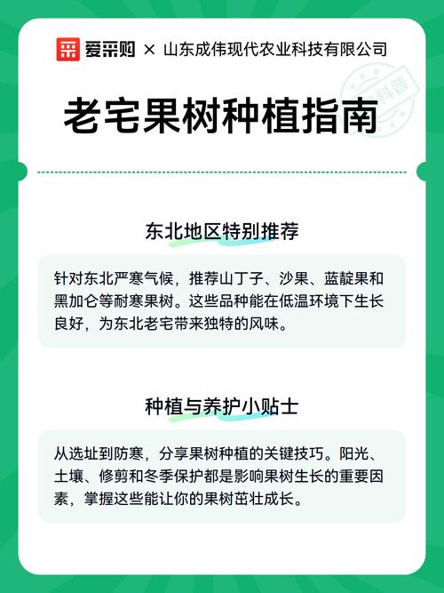 屋后空地种什么树?实用指南与种植全流程 七、成活注意事项