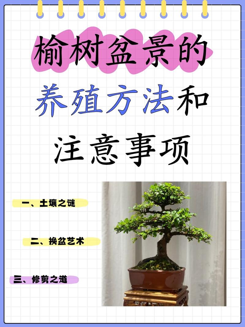 榆树嫁接红花继木?科学解析嫁接亲和性与失败原因 红花檵木的正确繁殖方案