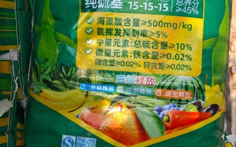板栗用什么复合肥好：全周期施肥方案与果苗采购全攻略