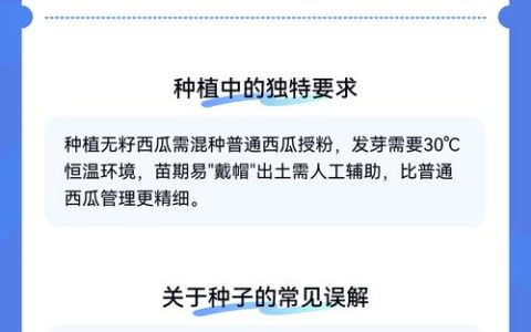 无籽西瓜的种子在哪里？揭秘无籽西瓜的种植奥秘与常见误区