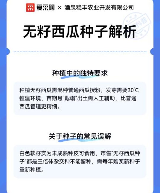 无籽西瓜的种子在哪里？揭秘无籽西瓜的种植奥秘与常见误区