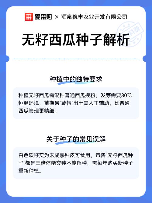 无籽西瓜的种子在哪里?揭秘无籽西瓜的种植奥秘与常见误区 一、无籽西瓜的“种子”其实存在