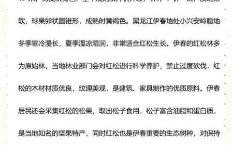常见松树品种全解析：十大松树特征、习性与选购指南