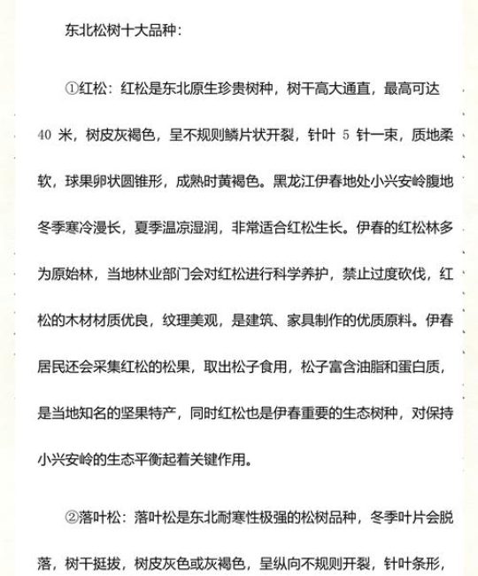 常见松树品种全解析：十大松树特征、习性与选购指南