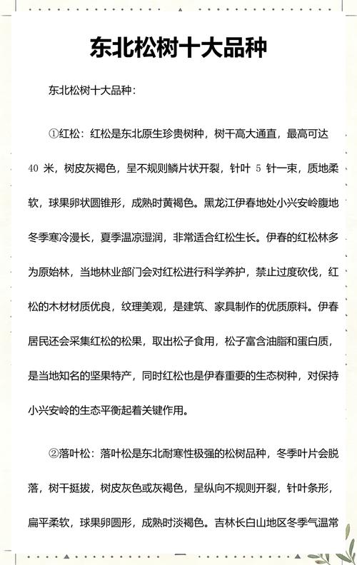 常见松树品种全解析:十大松树特征、习性与选购指南 常见松树品种全解析:十大松树特征、习性与选购指南