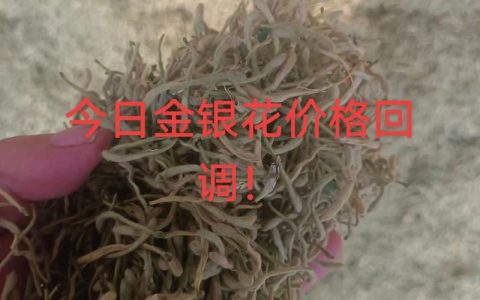 金银花多少钱一两？2025年最新价格区间与影响因素分析