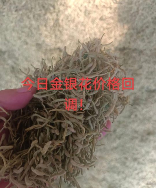 金银花多少钱一两？2025年最新价格区间与影响因素分析