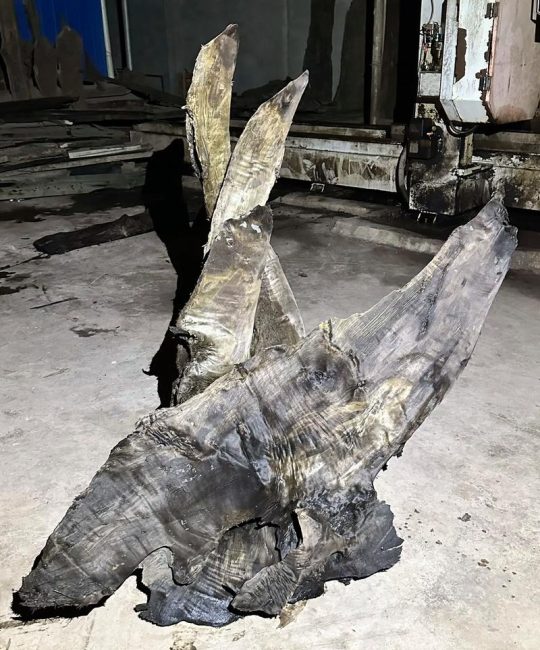 乌木和金丝楠木哪个贵？深度对比两种名贵木材的价值差异