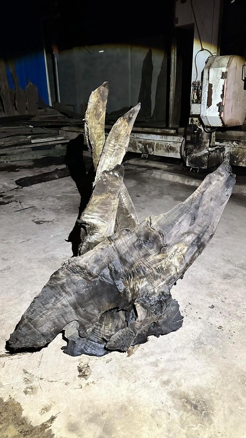 乌木和金丝楠木哪个贵?深度对比两种名贵木材的价值差异 乌木和金丝楠木哪个贵?深度对比两种名贵木材的价值差异
