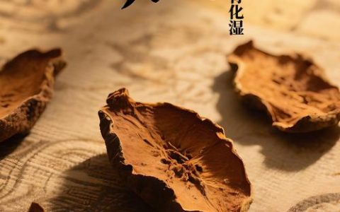 木瓜的功效与作用：食用、药用与安全性全解析