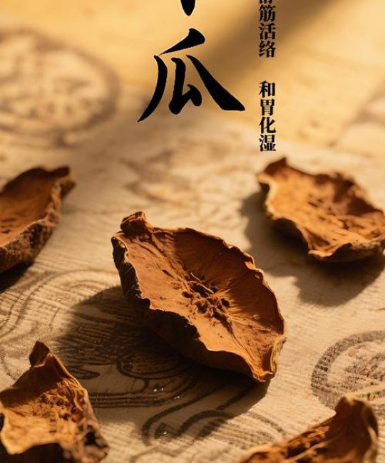 木瓜的功效与作用：食用、药用与安全性全解析
