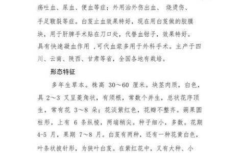 白芨种子育苗全攻略：从无菌播种到幼苗移栽的精确技术指南